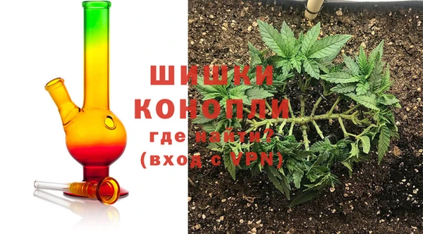 винт Лагань
