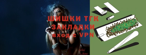 винт Лагань