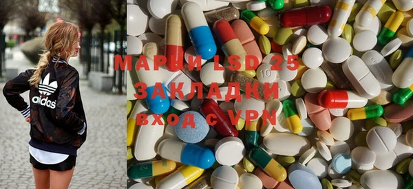 ПСИЛОЦИБИНОВЫЕ ГРИБЫ Лихославль