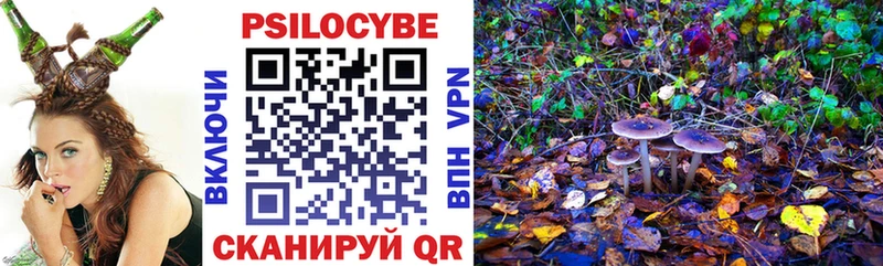 Псилоцибиновые грибы Cubensis  Лодейное Поле 