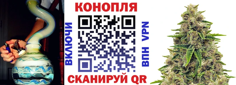 наркошоп Лодейное Поле Шишки марихуана AK-47